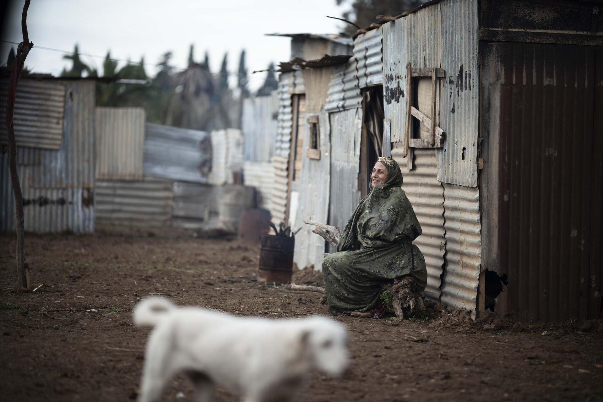 Al-Sira Al-Ameriya - Cinematic Scene